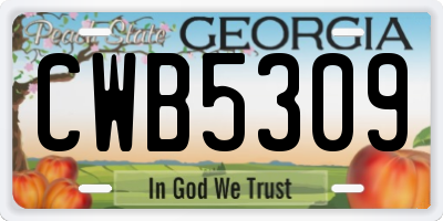 GA license plate CWB5309