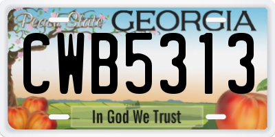 GA license plate CWB5313