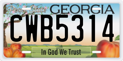 GA license plate CWB5314