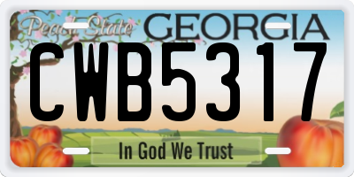 GA license plate CWB5317