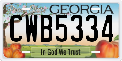 GA license plate CWB5334