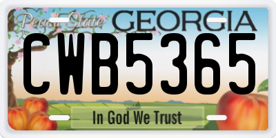 GA license plate CWB5365