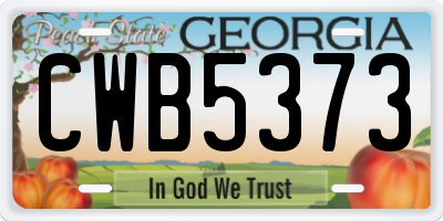 GA license plate CWB5373