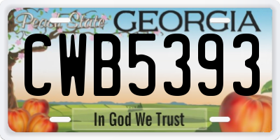 GA license plate CWB5393