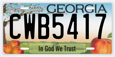 GA license plate CWB5417