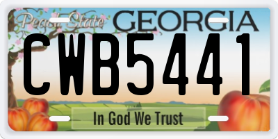 GA license plate CWB5441