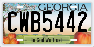 GA license plate CWB5442