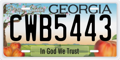 GA license plate CWB5443
