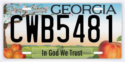 GA license plate CWB5481