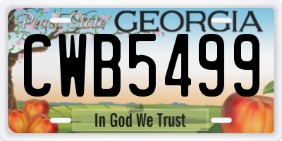 GA license plate CWB5499