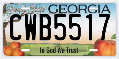 GA license plate CWB5517