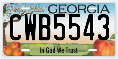 GA license plate CWB5543