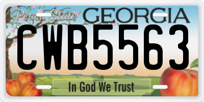 GA license plate CWB5563