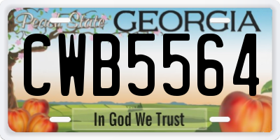 GA license plate CWB5564