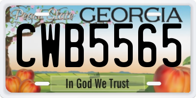 GA license plate CWB5565