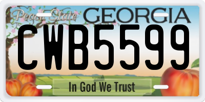 GA license plate CWB5599