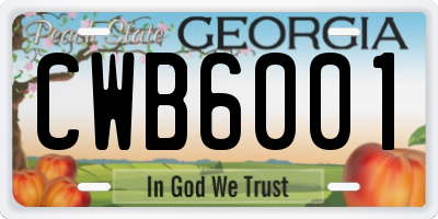 GA license plate CWB6001