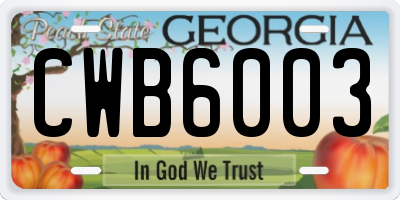 GA license plate CWB6003