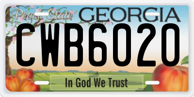 GA license plate CWB6020