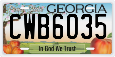 GA license plate CWB6035