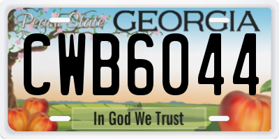 GA license plate CWB6044