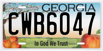 GA license plate CWB6047