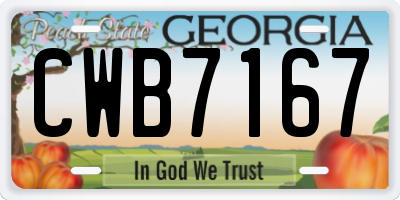 GA license plate CWB7167
