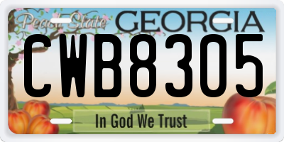 GA license plate CWB8305