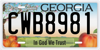 GA license plate CWB8981