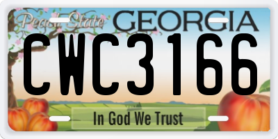 GA license plate CWC3166