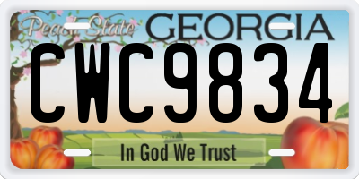 GA license plate CWC9834