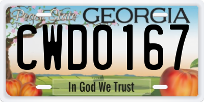 GA license plate CWD0167