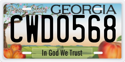 GA license plate CWD0568