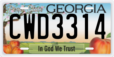 GA license plate CWD3314