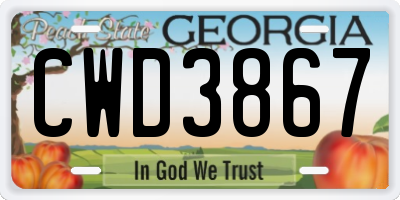 GA license plate CWD3867