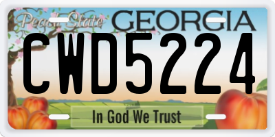 GA license plate CWD5224