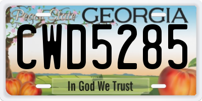 GA license plate CWD5285