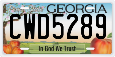 GA license plate CWD5289