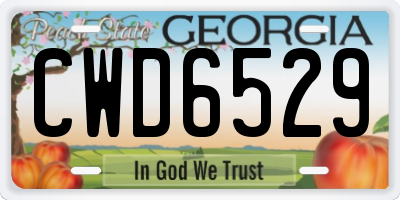 GA license plate CWD6529