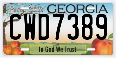 GA license plate CWD7389