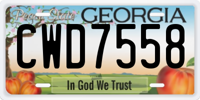 GA license plate CWD7558