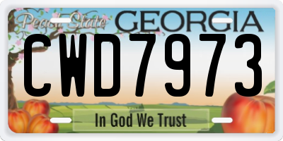 GA license plate CWD7973