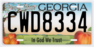 GA license plate CWD8334