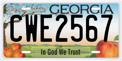 GA license plate CWE2567