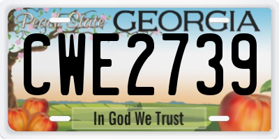 GA license plate CWE2739