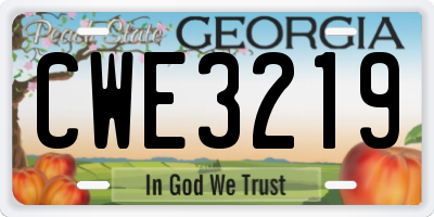GA license plate CWE3219