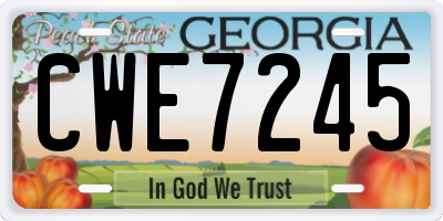 GA license plate CWE7245