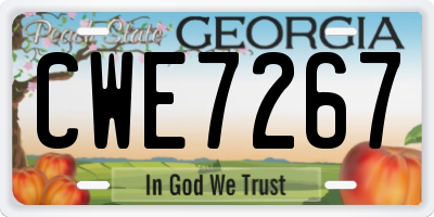 GA license plate CWE7267