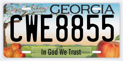 GA license plate CWE8855