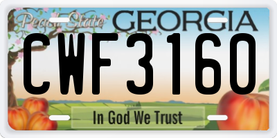 GA license plate CWF3160